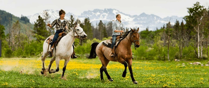Confident plus-size woman riding Aldridge a horse through a field with a smile on her face.